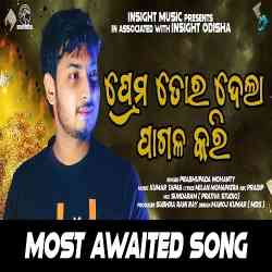 Prema Tor Dela Lo Pagal Kari